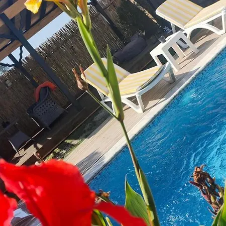 Sapanca Mgm